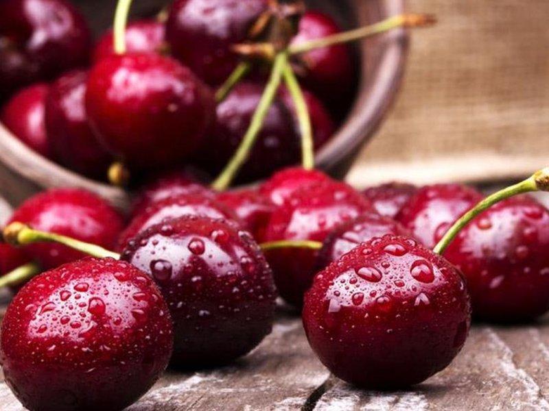 Вишня купить саженцы из питомника в Курске